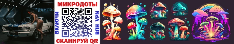Галлюциногенные грибы Psilocybine cubensis сайты даркнета формула Лосино-Петровский